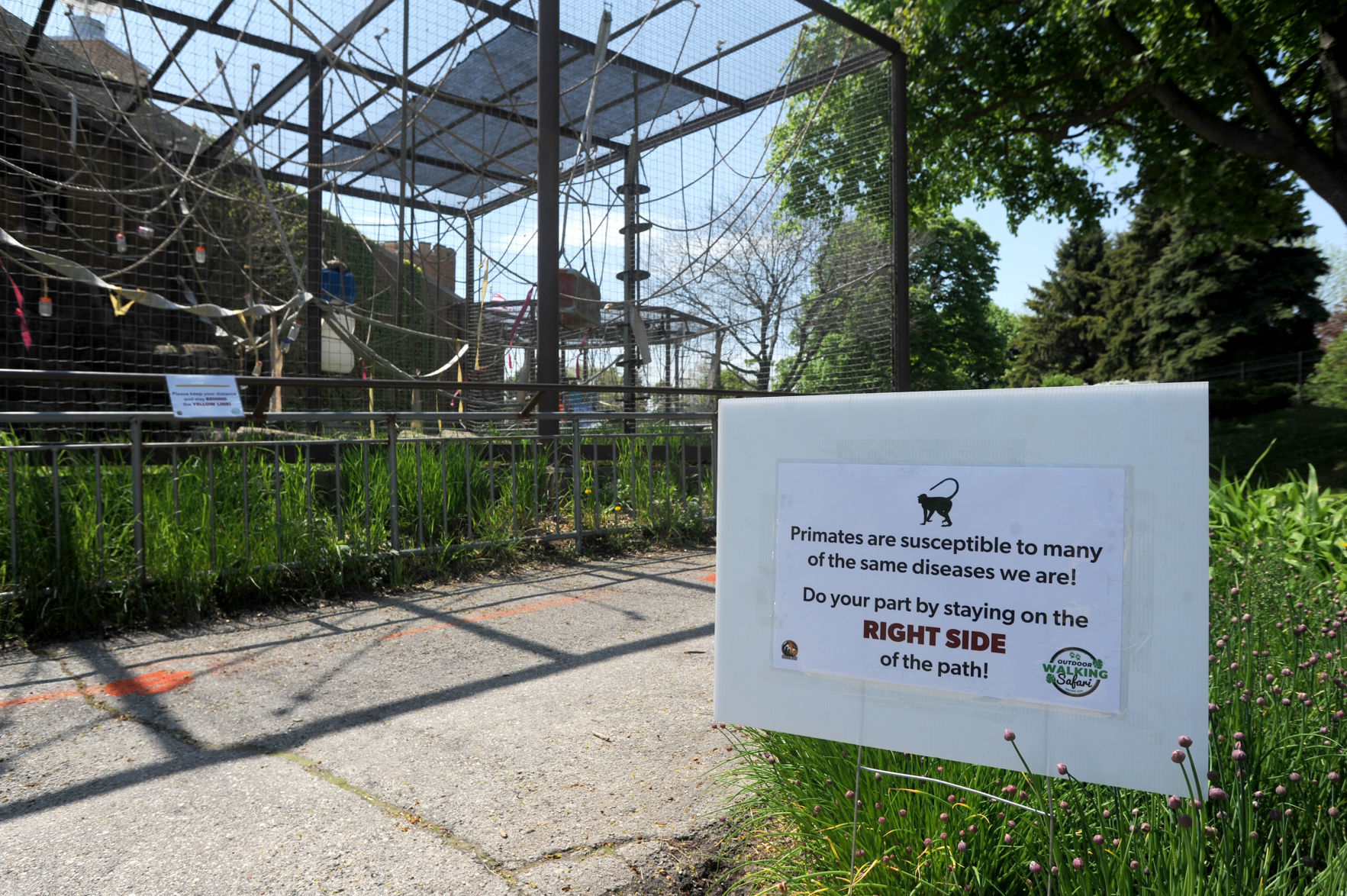 Protecting the primates